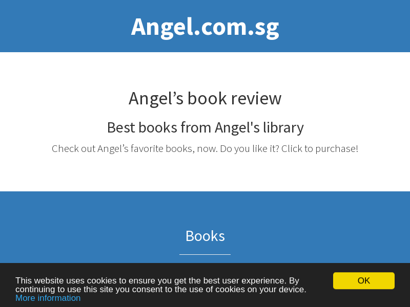 angel.com.sg