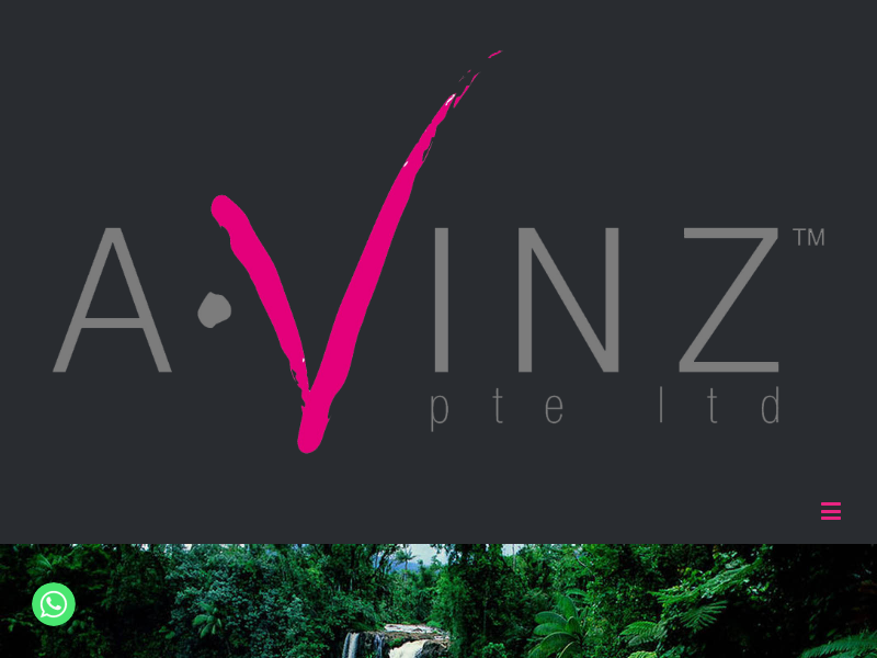 avinz.com.sg