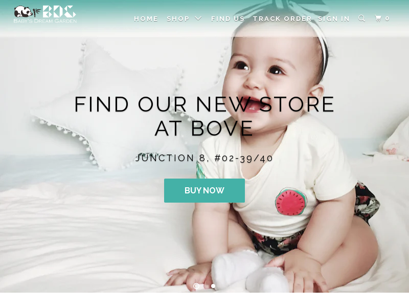 bdg.com.sg
