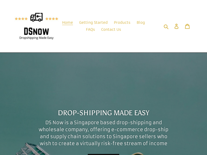 dsnow.sg