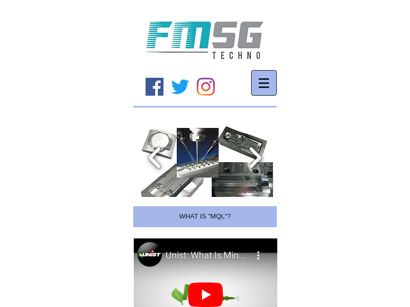 fmsg.com.sg