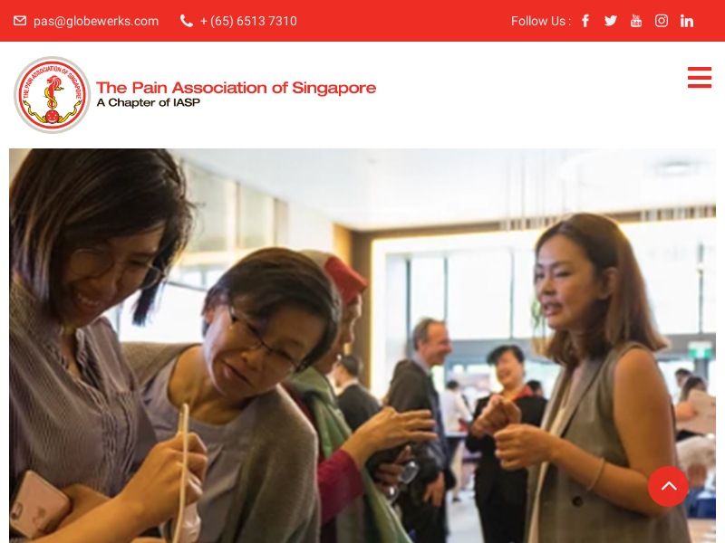 pain.org.sg