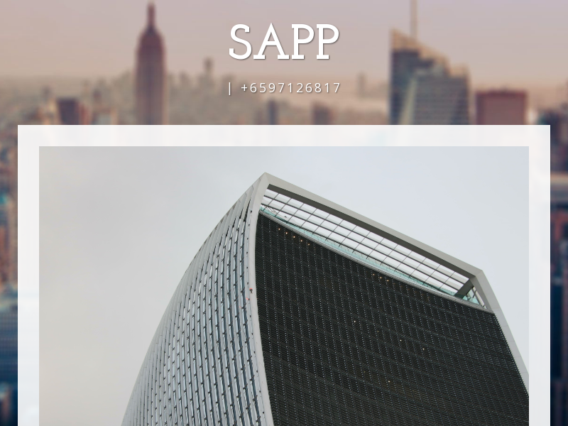 sapp.com.sg