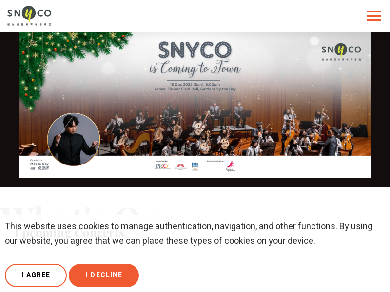 snyco.com.sg