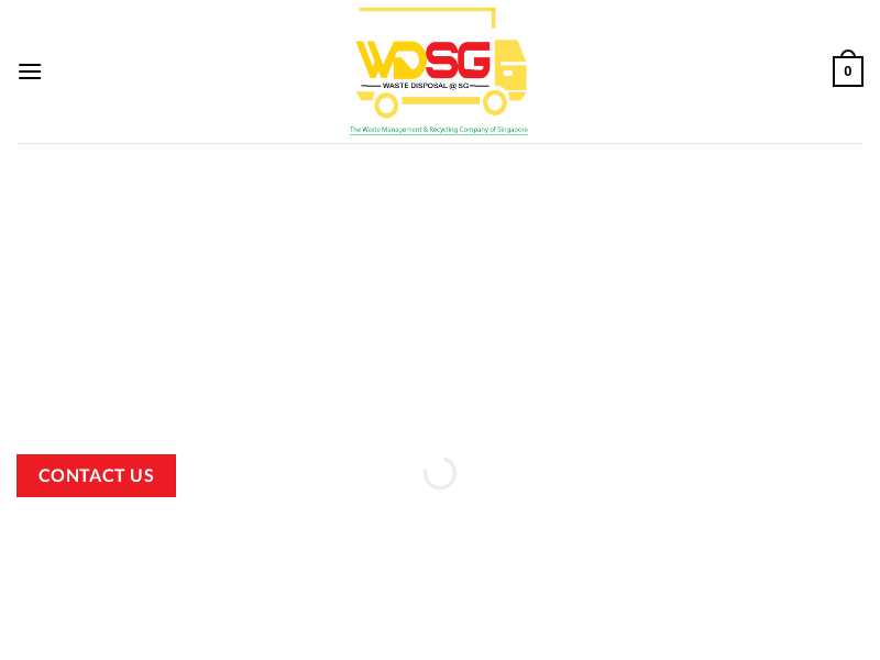 wdsg.sg